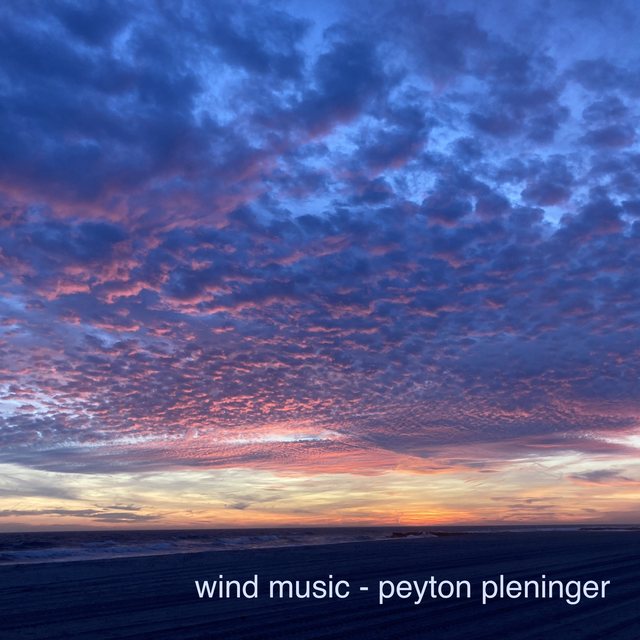 Wind Music album cover