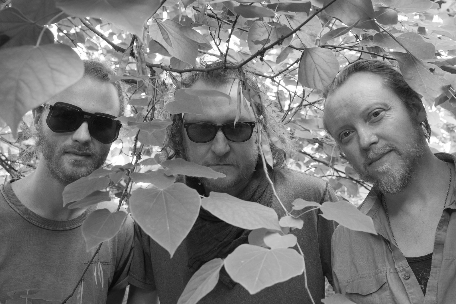 Biotonic trio: among the leaves